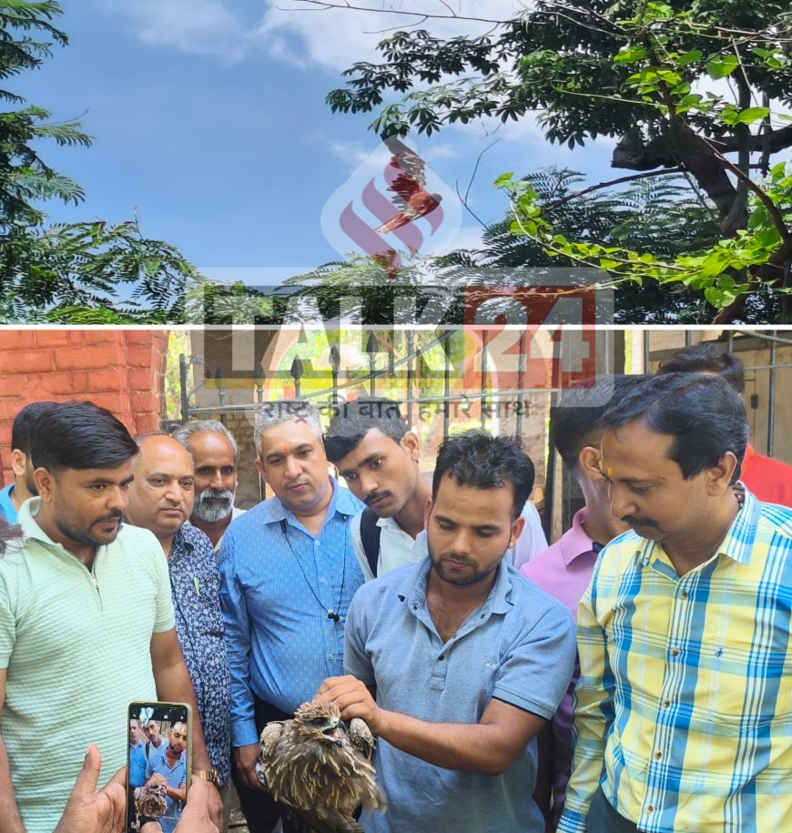 पेड़ की डाल पर चाइनीज मांझे में फंसा परिंदा,रेस्क्यू में एक के बाद एक आईं अड़चनें: बरेली कॉलेज का वो सांसें थमा देने वाला वाक़िआ
